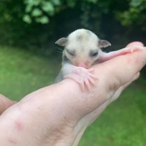 Meet your Posher, Vicki